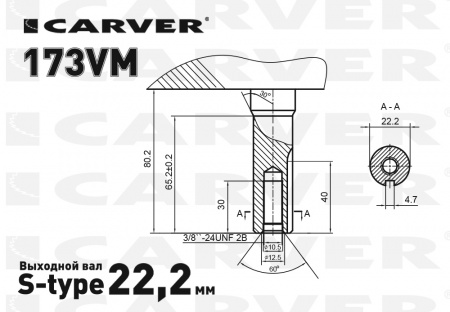 Двигатель бензиновый 4T CARVER 173VМ