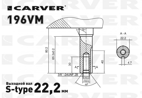 Двигатель бензиновый 4Т CARVER 196VМ