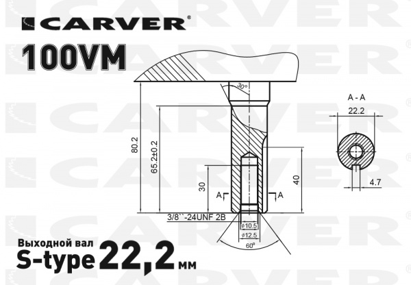 Двигатель бензиновый 4T CARVER 100VМ